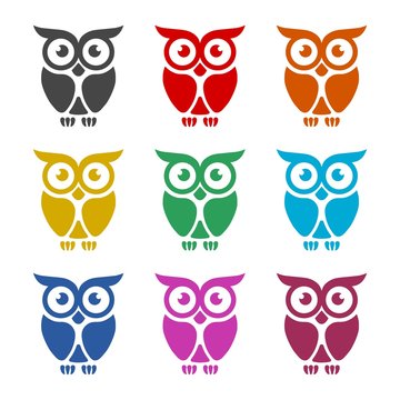 Owl Logo Template, Owl icon on logo, color set