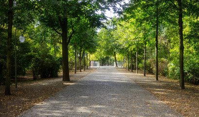 Tiergarten park in Berlin, Germany. Autumn with falling leaves and green trees background.