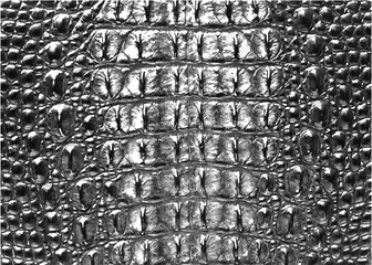 Print Crocodile Texture Leather, Dark gray Background. Vector illustration of alligator skin - 239719518
