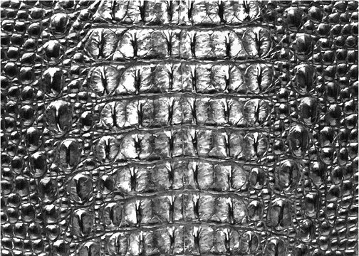 Print Crocodile Texture Leather, Dark gray Background. Vector illustration of alligator skin
