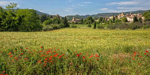 Panorama view of Lourmarin. Field of wheat and poppies with view of the idyllic village Lourmarin, Provence, Luberon, Vaucluse, France