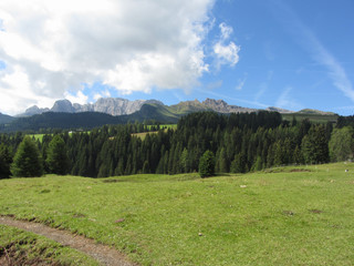 Alpine pasture against italian Dolomites at summer . South Tyrol , Bolzano , Italy