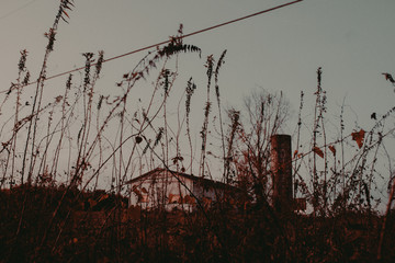 old farm in the fall