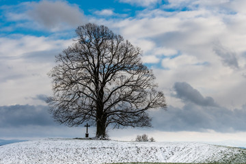 Kahler Baum und Kreuz auf verschneitem Hügel