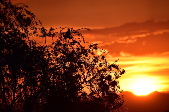 Atardecer en Ciudad Barrios 