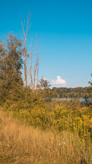 Smartphone HD wallpaper of beautiful view at Zeholfing - Isar - Bavaria - Germany