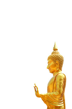 Buddha golden standing, Statue of the Buddha Stand Beautiful gold isolated on white background and copy space for banner of holy day and Important buddhist day