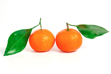 Tangerine or clementine with green leaf isolated on white background