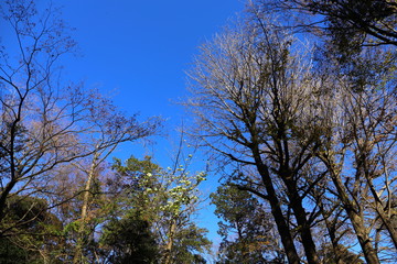 The famous Japanese garden named Rikugien