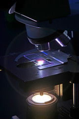 Microscopic lens in dark environment
