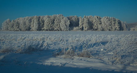 Obraz premium winter, snow, landscape