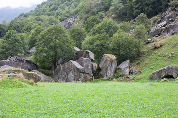 Swiss Alps with Gras and Rocks during Cloudy Day
