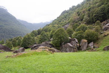 Swiss Alps with Gras and Rocks during Cloudy Day