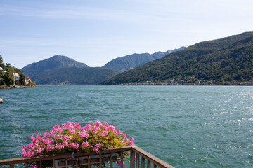 Lake Lugano at Morcote with Clear Sky with Flowers