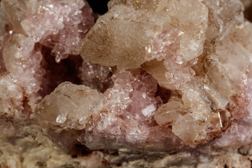 Macro mineral stone Pink Amethyst on a black background