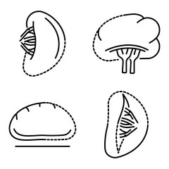 Spleen icon set. Outline set of spleen vector icons for web design isolated on white background