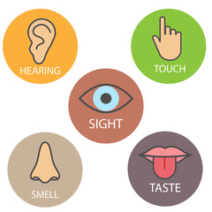 Human senses icon. Vector illustration, flat design.