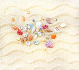 Fototapeta na wymiar Vacation, beach and shells