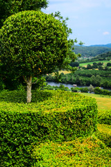 Topiary in the gardens of the Chateau de Marqueyssac with the Dordogne River in the background near Vezac, France