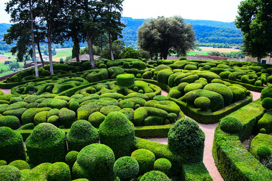 The topiary art of the magnifcent gardens of the Chateau de Marqueyssac near Vezac in the Dordogne region of France