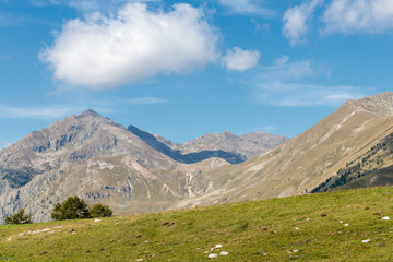 Fototapeta na wymiar panorama dans les alpes