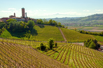 Landscape of Langhe and the village of Barbaresco