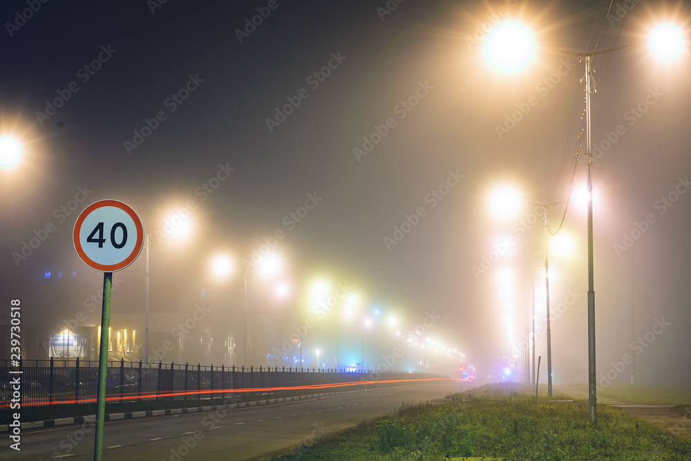 Wall mural street light in the fog