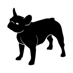 French Bulldog. Silhouette