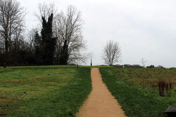 pathway