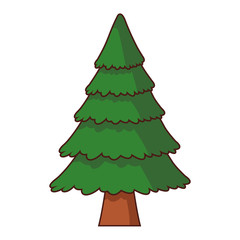 Tree pine cartoon