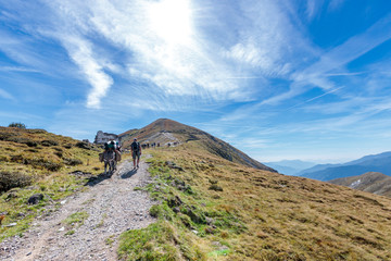 trek avec mule dans les alpes