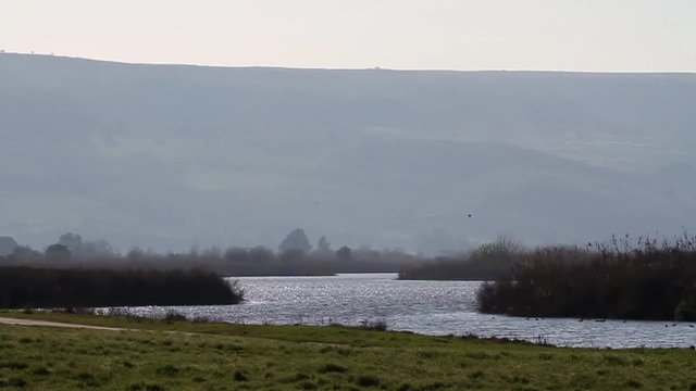 Common Crane flock over Mount Hermon Israel