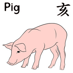 Chinese Zodiac Sign Pig