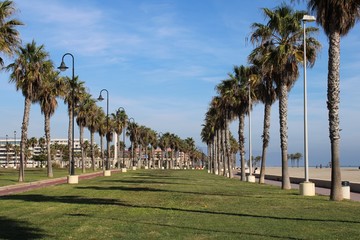 Boardwalk with green spaces