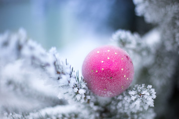 Christmas ornament on tree with snow