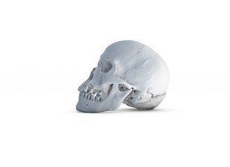 Human skull on White Colors a White Isolated Background. The concept of death, horror. A symbol of spooky Halloween. 3d rendering illustration.