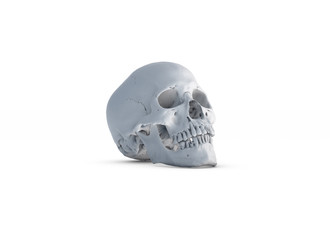 Human skull on White Colors a White Isolated Background. The concept of death, horror. A symbol of spooky Halloween. 3d rendering illustration.