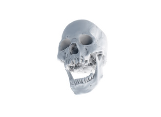 Human skull on White Background. The concept of death, horror. A symbol of spooky Halloween. 3d rendering illustration.Scan SCSU VizLab https://www.thingiverse.com/scsuvizlab/about - (CC Attribution)	