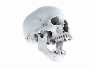 Human skull on White Background. The concept of death, horror. A symbol of spooky Halloween. 3d rendering illustration.Scan SCSU VizLab https://www.thingiverse.com/scsuvizlab/about - (CC Attribution)	