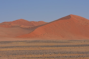 Sanddünen im Namib-Naukluft Nationalpark in Namibia