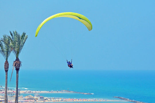 Two people fly on yellow paraglider in  sky near palms above  beach and  city..Mediterranean Sea, Israel, balance, extreme sports, group rest, common interests.
