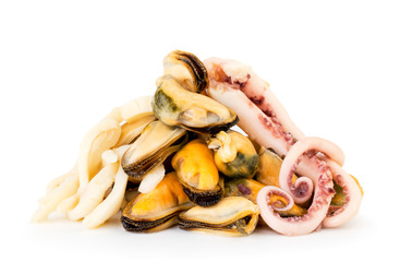 Bunch of mussels, squid and octopus on a white, isolated.