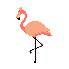 Cute cartoon vector illustration of tropical flamingo in crown isolated on white background.