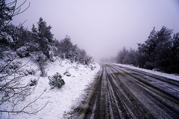 road in winter forest