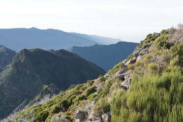 Fototapeta na wymiar Pico Ruivo Madeira Portugal
