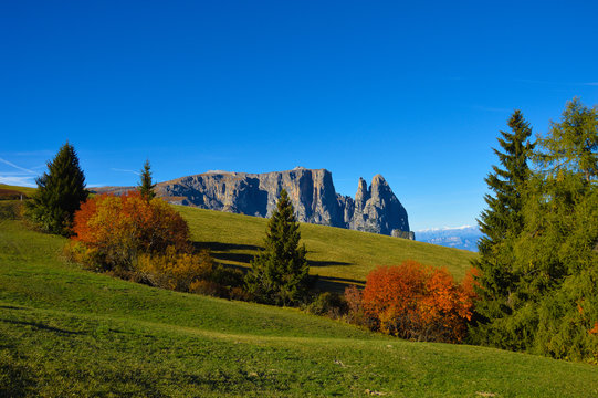 Autunno sullo Sciliar - Dolomiti