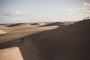 Desierto al atardecer