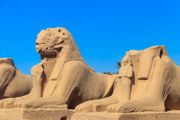 Alley of sphinxes at Karnak Temple Complex in Luxor, Egypt