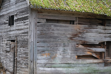 Wooden building wall damage with fungus. An example of wood parasites. Pattern of tree rot....