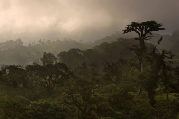 Cloud Forest Sunset in the Moutnains of Costa Rica